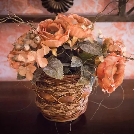 Casa Venturini 公寓 *