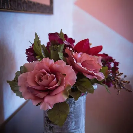 Casa Venturini 公寓 特雷维