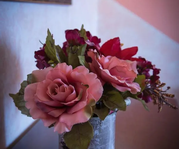 Casa Venturini Apartment Trevi